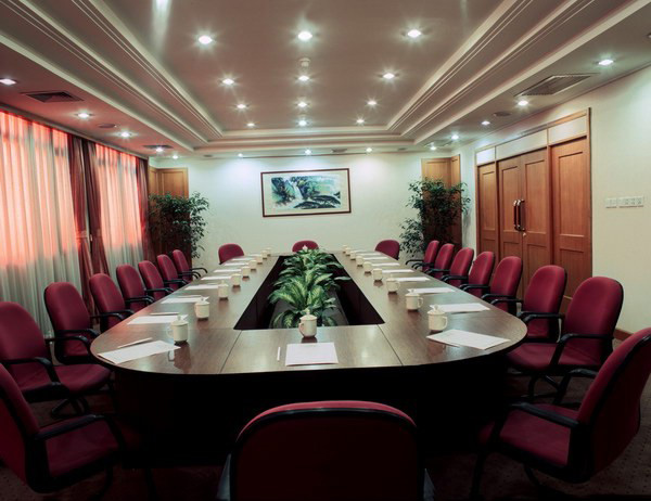 Downlight in Meeting Room